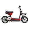 xe dap dien giant 133l hinh 1